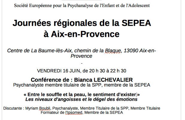 Journées régionales de la SEPEA à Aix-en-Provence Journées régionales de la SEPEA à Aix-en-Provence